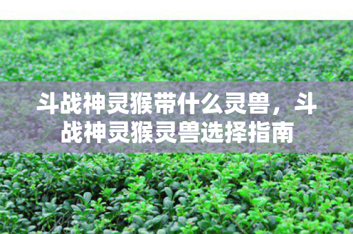 斗战神灵猴带什么灵兽,斗战神灵猴灵兽选择指南 斗战神灵猴带什么灵兽,斗战神灵猴灵兽选择指南