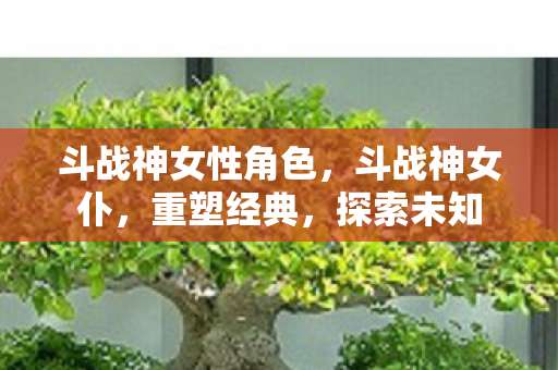 斗战神女性角色,斗战神女仆,重塑经典,探索未知 斗战神女性角色,斗战神女仆,重塑经典,探索未知