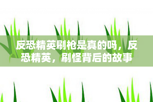 反恐精英刷枪是真的吗,反恐精英,刷怪背后的故事 反恐精英刷枪是真的吗,反恐精英,刷怪背后的故事
