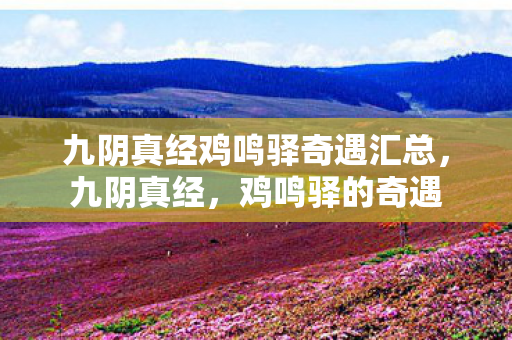 九阴真经鸡鸣驿奇遇汇总,九阴真经,鸡鸣驿的奇遇 九阴真经鸡鸣驿奇遇汇总,九阴真经,鸡鸣驿的奇遇