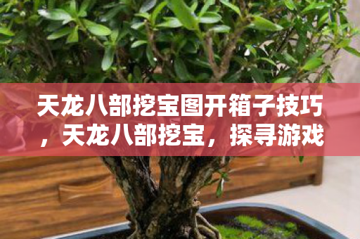天龙八部挖宝图开箱子技巧，天龙八部挖宝，探寻游戏中的宝藏与秘密