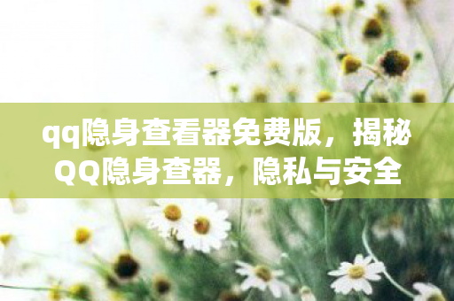 qq隐身查看器免费版，揭秘QQ隐身查器，隐私与安全的双刃剑