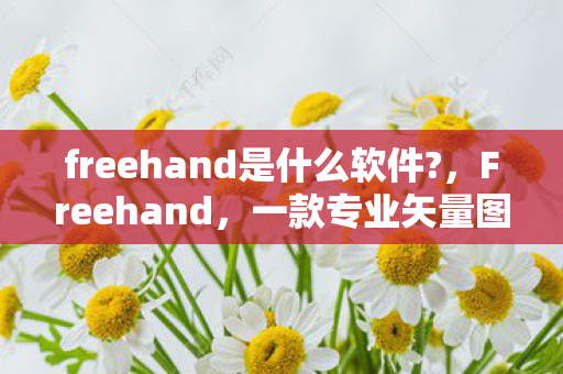 freehand是什么软件?，Freehand，一款专业矢量图形设计软件的魅力与功能解析