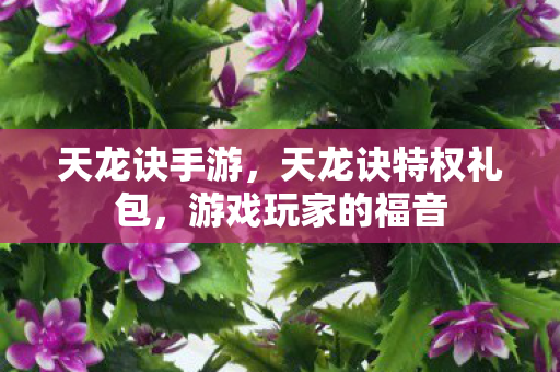 天龙诀手游，天龙诀特权礼包，游戏玩家的福音
