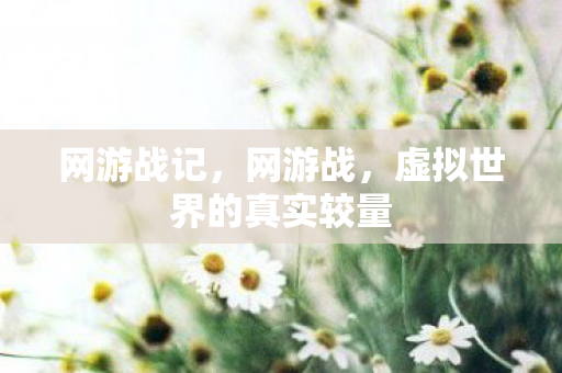 网游战记,网游战,虚拟世界的真实较量 网游战记,网游战,虚拟世界的真实较量