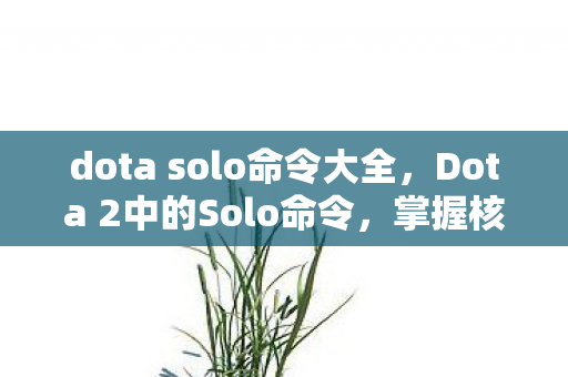 dota solo命令大全，Dota 2中的Solo命令，掌握核心技巧，提升你的游戏水平