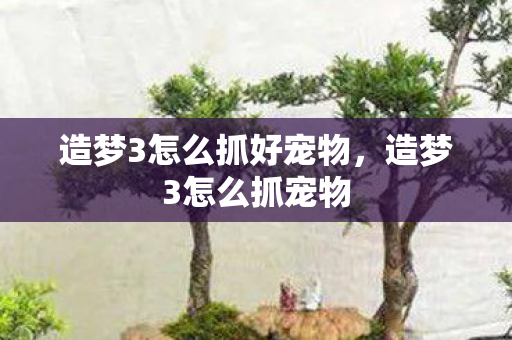 造梦3怎么抓好宠物，造梦3怎么抓宠物