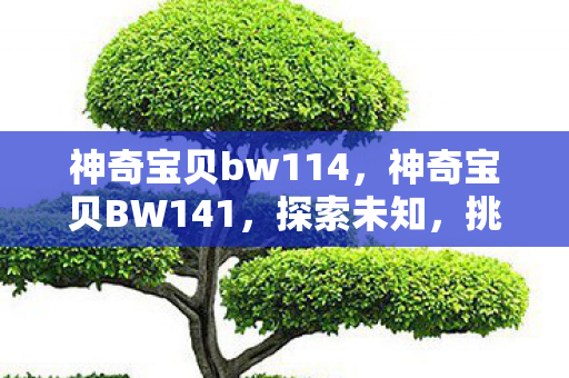 神奇宝贝bw114，神奇宝贝BW141，探索未知，挑战自我