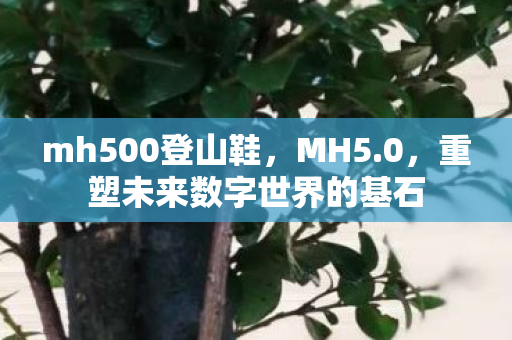 mh500登山鞋,MH5.0,重塑未来数字世界的基石 mh500登山鞋,MH5.0,重塑未来数字世界的基石