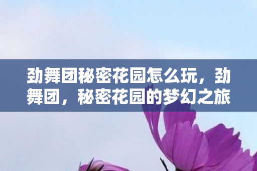 劲舞团秘密花园怎么玩,劲舞团,秘密花园的梦幻之旅 劲舞团秘密花园怎么玩,劲舞团,秘密花园的梦幻之旅