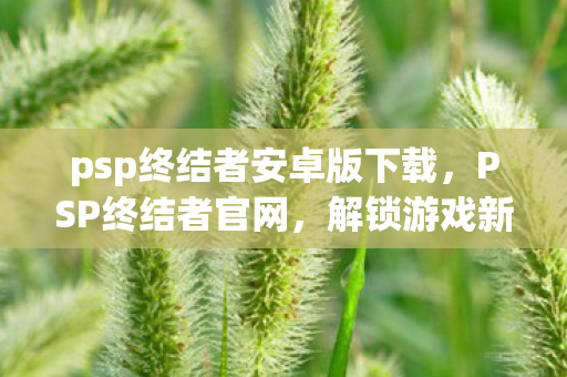 psp终结者安卓版下载，PSP终结者官网，解锁游戏新世界的钥匙