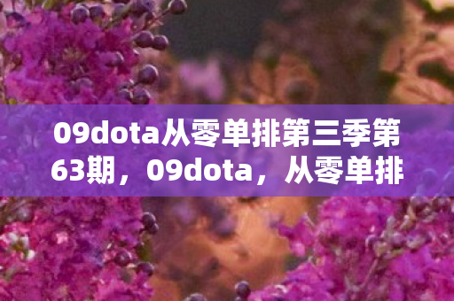 09dota从零单排第三季第63期,09dota,从零单排第1季——踏上征途,挑战自我 09dota从零单排第三季第63期,09dota,从零单排第1季——踏上征途,挑战自我