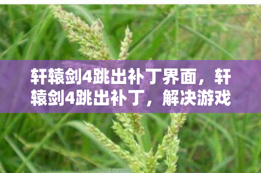 轩辕剑4跳出补丁界面,轩辕剑4跳出补丁,解决游戏卡顿与崩溃的实用指南 轩辕剑4跳出补丁界面,轩辕剑4跳出补丁,解决游戏卡顿与崩溃的实用指南