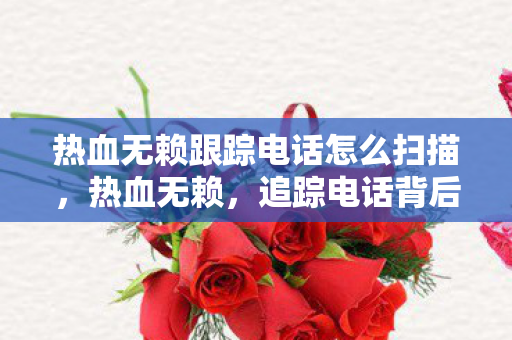 热血无赖跟踪电话怎么扫描，热血无赖，追踪电话背后的真相