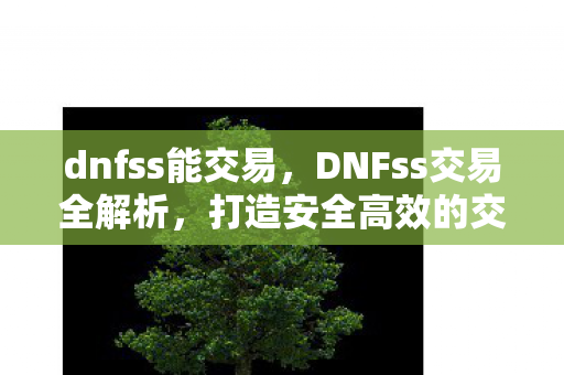 dnfss能交易,DNFss交易全解析,打造安全高效的交易环境 dnfss能交易,DNFss交易全解析,打造安全高效的交易环境