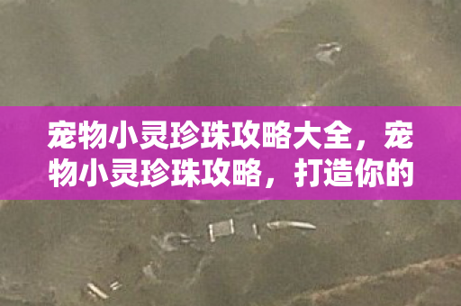 宠物小灵珍珠攻略大全，宠物小灵珍珠攻略，打造你的专属萌宠