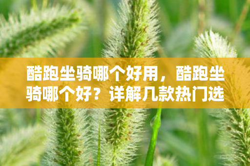 酷跑坐骑哪个好用,酷跑坐骑哪个好?详解几款热门选择 酷跑坐骑哪个好用,酷跑坐骑哪个好?详解几款热门选择