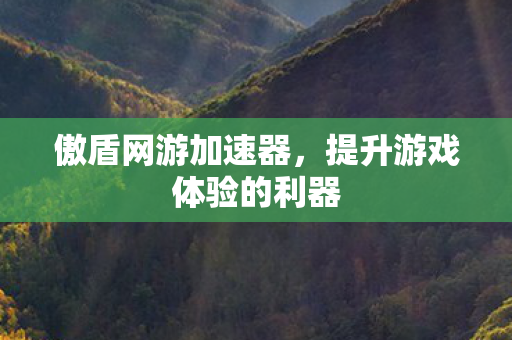 傲盾网游加速器,提升游戏体验的利器 傲盾网游加速器,提升游戏体验的利器