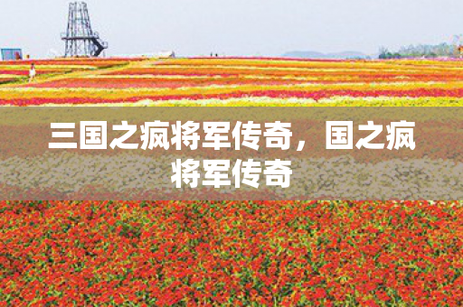 三国之疯将军传奇，国之疯将军传奇