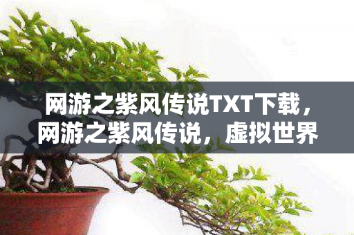 网游之紫风传说TXT下载，网游之紫风传说，虚拟世界的传奇之旅