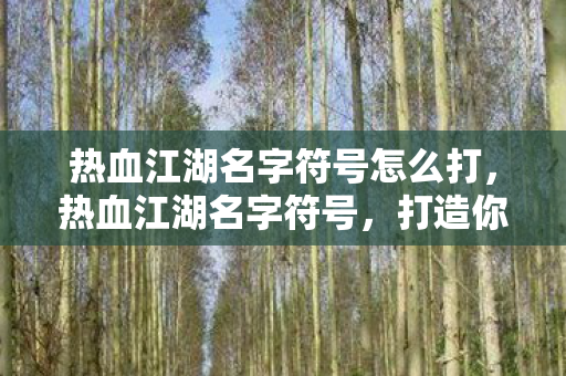 热血江湖名字符号怎么打，热血江湖名字符号，打造你的专属江湖印记