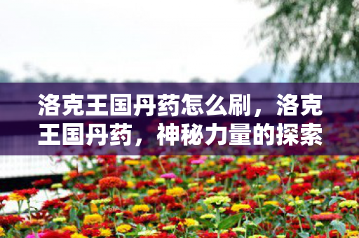 洛克王国丹药怎么刷，洛克王国丹药，神秘力量的探索之旅