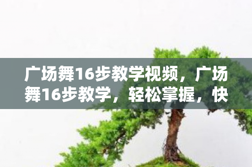 广场舞16步教学视频,广场舞16步教学,轻松掌握,快乐起舞 广场舞16步教学视频,广场舞16步教学,轻松掌握,快乐起舞