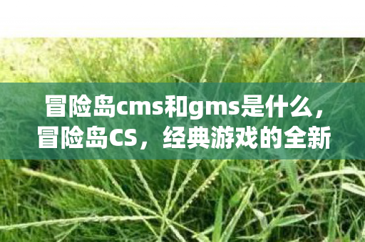 冒险岛cms和gms是什么,冒险岛CS,经典游戏的全新挑战 冒险岛cms和gms是什么,冒险岛CS,经典游戏的全新挑战