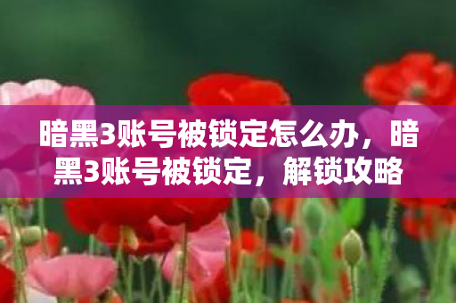 暗黑3账号被锁定怎么办，暗黑3账号被锁定，解锁攻略与预防措施