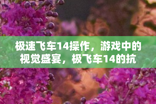 极速飞车14操作,游戏中的视觉盛宴,极飞车14的抗锯齿技术解析 极速飞车14操作,游戏中的视觉盛宴,极飞车14的抗锯齿技术解析