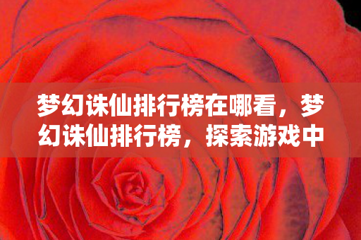 梦幻诛仙排行榜在哪看,梦幻诛仙排行榜,探索游戏中的荣耀与梦想 梦幻诛仙排行榜在哪看,梦幻诛仙排行榜,探索游戏中的荣耀与梦想
