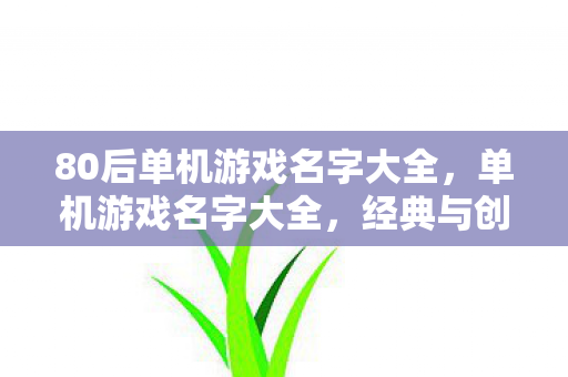 80后单机游戏名字大全，单机游戏名字大全，经典与创新的碰撞
