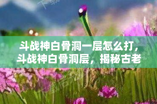 斗战神白骨洞一层怎么打,斗战神白骨洞层,揭秘古老传说与神秘挑战 斗战神白骨洞一层怎么打,斗战神白骨洞层,揭秘古老传说与神秘挑战