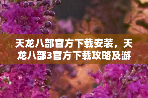 天龙八部官方下载安装，天龙八部3官方下载攻略及游戏介绍