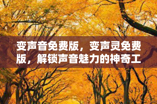 变声音免费版，变声灵免费版，解锁声音魅力的神奇工具