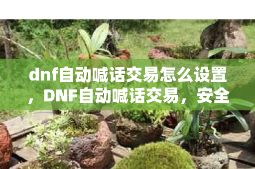 dnf自动喊话交易怎么设置,DNF自动喊话交易,安全、高效的游戏内交易新体验 dnf自动喊话交易怎么设置,DNF自动喊话交易,安全、高效的游戏内交易新体验