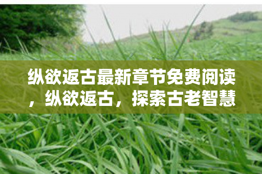 纵欲返古最新章节免费阅读,纵欲返古,探索古老智慧的现代启示 纵欲返古最新章节免费阅读,纵欲返古,探索古老智慧的现代启示