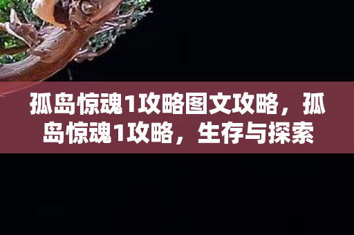 孤岛惊魂1攻略图文攻略，孤岛惊魂1攻略，生存与探索的终极指南