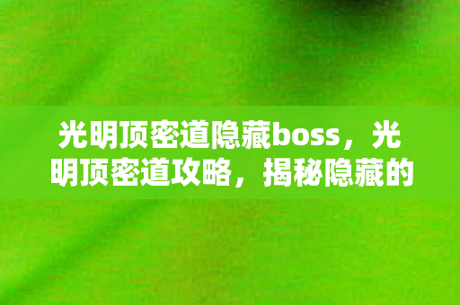 光明顶密道隐藏boss，光明顶密道攻略，揭秘隐藏的秘密通道