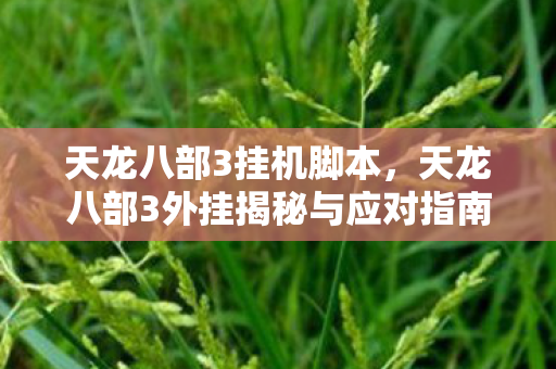 天龙八部3挂机脚本，天龙八部3外挂揭秘与应对指南