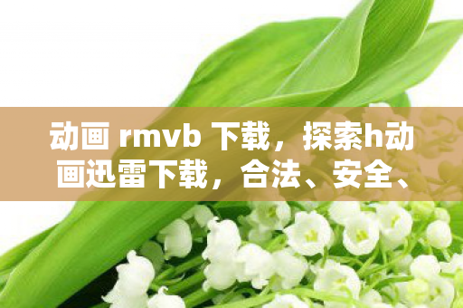 动画 rmvb 下载,探索h动画迅雷下载,合法、安全、高效的观看体验 动画 rmvb 下载,探索h动画迅雷下载,合法、安全、高效的观看体验