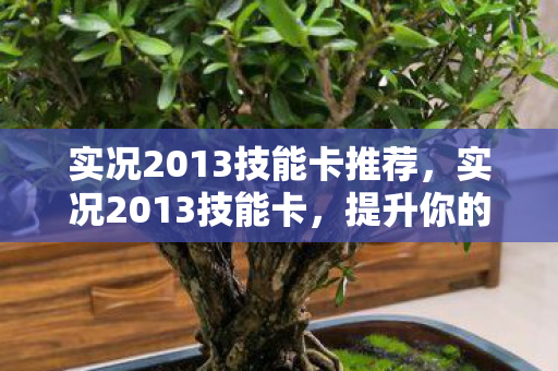 实况2013技能卡推荐,实况2013技能卡,提升你的足球游戏技巧 实况2013技能卡推荐,实况2013技能卡,提升你的足球游戏技巧