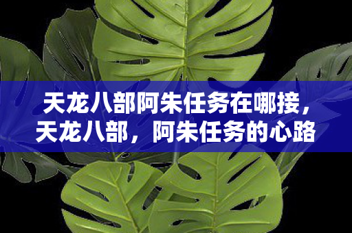 天龙八部阿朱任务在哪接，天龙八部，阿朱任务的心路历程