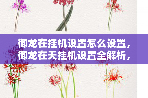 御龙在挂机设置怎么设置，御龙在天挂机设置全解析，打造高效、稳定的挂机体验