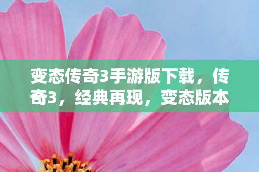 变态传奇3手游版下载,传奇3,经典再现,变态版本背后的故事 变态传奇3手游版下载,传奇3,经典再现,变态版本背后的故事