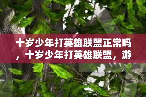 十岁少年打英雄联盟正常吗，十岁少年打英雄联盟，游戏、成长与家庭教育的平衡