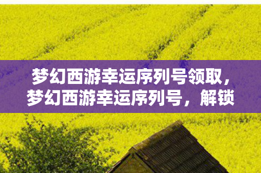 梦幻西游幸运序列号领取,梦幻西游幸运序列号,解锁你的游戏奇遇 梦幻西游幸运序列号领取,梦幻西游幸运序列号,解锁你的游戏奇遇