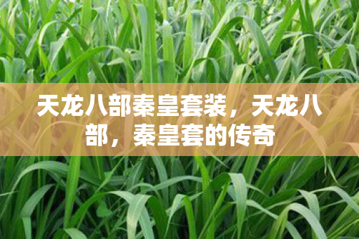 天龙八部秦皇套装，天龙八部，秦皇套的传奇