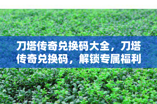 刀塔传奇兑换码大全，刀塔传奇兑换码，解锁专属福利的秘籍