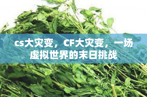 cs大灾变，CF大灾变，一场虚拟世界的末日挑战